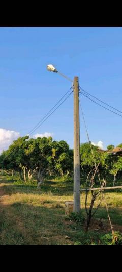 ที่ดินโฉนด 74-2-1.2 ไร่ ติดอ่างเก็บน้ำ ต.แม่ปั๋ง อ.พร้าว เชียงใหม่-202509180326101758140770073.jpg