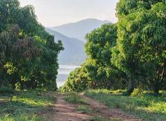 ที่ดินโฉนด 74-2-1.2 ไร่ ติดอ่างเก็บน้ำ ต.แม่ปั๋ง อ.พร้าว เชียงใหม่-202509180326261758140786746.jpg