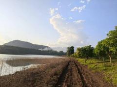 ที่ดินโฉนด 74-2-1.2 ไร่ ติดอ่างเก็บน้ำ ต.แม่ปั๋ง อ.พร้าว เชียงใหม่-202509180326361758140796895.jpg