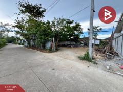 ขายที่ดิน-เน้อที่-2-งาน-ติดหมู่บ้านบ