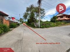 ขายที่ดิน เน้อที่ 2 งาน ติดหมู่บ้านบาลน่า 4 ถนนห้วยใหญ่ บางละมุง ชลบุรี-202509180914121758161652634.jpg