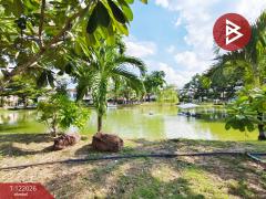 ขายบ้านเดี่ยว หมู่บ้านปาริชาติ ปิ่นเกล้า นครปฐม-202509180955581758164158690.jpg