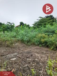 ขายที่ดิน เนื้อที่ 67.5 ตร.วา ประเวศ กรุงเทพมหานคร-202509181033531758166433894.jpg