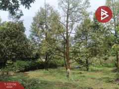 ขายที่ดิน เนื่อที่ 1 ไร่ ต.เขาแก้ว อ.ท่าใหม่ จันทบุรี-202509181105031758168303229.jpg