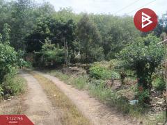 ขายที่ดิน เนื่อที่ 1 ไร่ ต.เขาแก้ว อ.ท่าใหม่ จันทบุรี-202509181105061758168306583.jpg