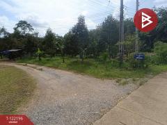 ขายที่ดิน เนื่อที่ 1 ไร่ ต.เขาแก้ว อ.ท่าใหม่ จันทบุรี-202509181105071758168307143.jpg