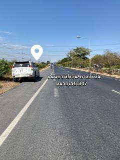 ขายที่ดินอยุธยา แปลงใหญ่สวย 68 ไร่ ติดถนนสาย 347 ปทุมธานี-บางปะหัน อ.บางประอิน กม. 29-30 โทร 095-8299247-202509181237581758173878627.jpg