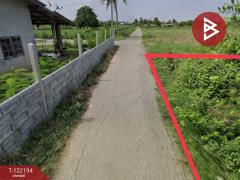 ขายที่ดิน เนื้อที่ 100 ตารางวา ต.สวนป่าน เมืองนครปฐม-202509181258321758175112852.jpg