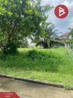 ขายด่วนที่ดินเปล่า 87 ตารางวา ในโครงการกฤษดานคร 20 พุทธมณฑล สาย 2 กรุงเทพฯ-202509181315151758176115085.jpg