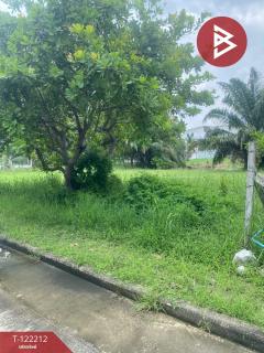 ขายด่วนที่ดินเปล่า 87 ตารางวา ในโครงการกฤษดานคร 20 พุทธมณฑล สาย 2 กรุงเทพฯ-202509181315211758176121739.jpg