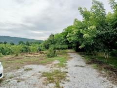 ขายที่ดิน 1 ไร่ ดอนคา อู่ทอง สุพรรณบุรี แปลงสวย ทำเลดี เหมาะปลูกบ้านพักอาศัย สวนเกษตร น้ำไฟพร้อมทำประโยชน์-202509181416431758179803200.jpg