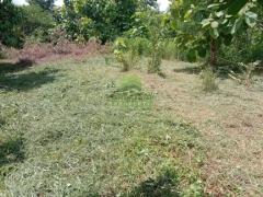 ขายที่ดิน 1 ไร่ ดอนคา อู่ทอง สุพรรณบุรี แปลงสวย ทำเลดี เหมาะปลูกบ้านพักอาศัย สวนเกษตร น้ำไฟพร้อมทำประโยชน์-202509181416431758179803670.jpg