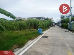 ขายที่ดินเเปล่า-เนื้อที่-213-ตารางวา-พ