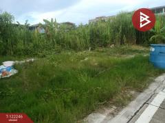 ขายที่ดินเเปล่า เนื้อที่ 213 ตารางวา พื้นที่สีม่วง พระสมุทรเจดีย์ สมุทรปราการ-202509181433581758180838317.jpg