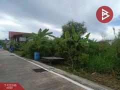 ขายที่ดินเเปล่า เนื้อที่ 213 ตารางวา พื้นที่สีม่วง พระสมุทรเจดีย์ สมุทรปราการ-202509181433591758180839934.jpg