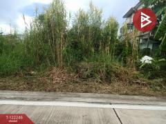 ขายที่ดินเเปล่า เนื้อที่ 213 ตารางวา พื้นที่สีม่วง พระสมุทรเจดีย์ สมุทรปราการ-202509181434001758180840461.jpg