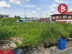 ขายที่ดินเเปล่า เนื้อที่ 213 ตารางวา พื้นที่สีม่วง พระสมุทรเจดีย์ สมุทรปราการ-202509181434031758180843758.jpg