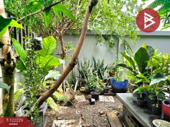 ขายบ้านเดี่ยว หมู่บ้านสาครธานี บางหญ้าแพรก สมุทรสาคร-202509181443421758181422003.jpg