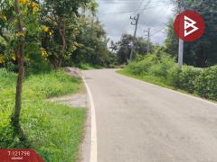  ขายบ้านเดี่ยว หมู่บ้านพี่เลี้ยง เนื้อที่ 3 งาน 51 ตารางวา ช่องสะแก เพชรบุรี-202509181451331758181893624.jpg