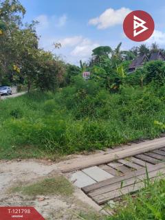  ขายบ้านเดี่ยว หมู่บ้านพี่เลี้ยง เนื้อที่ 3 งาน 51 ตารางวา ช่องสะแก เพชรบุรี-202509181451351758181895192.jpg