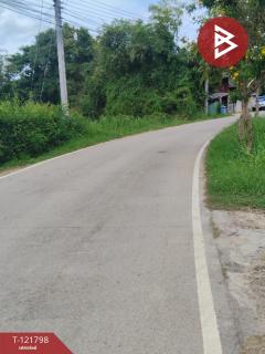  ขายบ้านเดี่ยว หมู่บ้านพี่เลี้ยง เนื้อที่ 3 งาน 51 ตารางวา ช่องสะแก เพชรบุรี-202509181451361758181896688.jpg