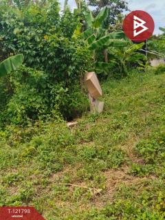  ขายบ้านเดี่ยว หมู่บ้านพี่เลี้ยง เนื้อที่ 3 งาน 51 ตารางวา ช่องสะแก เพชรบุรี-202509181451381758181898790.jpg