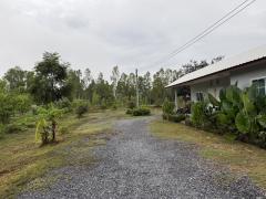 ขายที่ดินทำเลดี แปลงสวย ติดถนน 3 ด้าน พร้อมสวนไผ่ และ สวนป่า พร้อมบ้านพัก เจ้าของขายเอง ตำบลสระกระโจม อำเภอดอนเจดีย์  จังหวัดสุพรรณบุรี -202509181458261758182306193.jpg