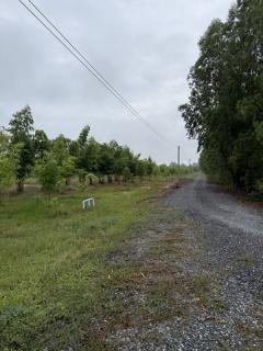 ขายที่ดินทำเลดี แปลงสวย ติดถนน 3 ด้าน พร้อมสวนไผ่ และ สวนป่า พร้อมบ้านพัก เจ้าของขายเอง ตำบลสระกระโจม อำเภอดอนเจดีย์  จังหวัดสุพรรณบุรี -202509181458331758182313468.jpg