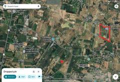 ขายที่ดินทำเลดี แปลงสวย ติดถนน 3 ด้าน พร้อมสวนไผ่ และ สวนป่า พร้อมบ้านพัก เจ้าของขายเอง ตำบลสระกระโจม อำเภอดอนเจดีย์  จังหวัดสุพรรณบุรี -202509181458441758182324231.jpg