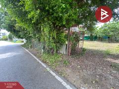  ขายที่ดินติดถนน เนื้อที่ 95 ตร.วา บ้านยาง นครปฐม-202509181502421758182562558.jpg