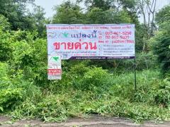 ที่ดินเปล่า 1 ไร่ ต.เมืองปัก อ.ปักธงชัย จ.นครราชสีมา 