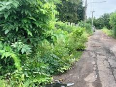 ที่ดินเปล่า 1 ไร่ ต.เมืองปัก อ.ปักธงชัย จ.นครราชสีมา -202509181514431758183283284.jpg