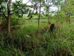 ที่ดินเปล่า 1 ไร่ ต.เมืองปัก อ.ปักธงชัย จ.นครราชสีมา -202509181514441758183284753.jpg