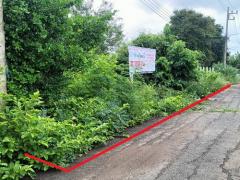 ที่ดินเปล่า 1 ไร่ ต.เมืองปัก อ.ปักธงชัย จ.นครราชสีมา -202509181514451758183285240.jpg