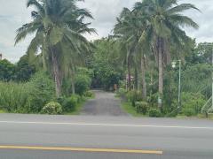 ขาย ร้านอาหารชื่อดังในย่านอู่ทอง สุพรรณบุรี 3-1-15 ไร่