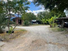 ขายที่ดินพร้อมบ้าน ใกล้บางแสน โซนถนนข้าวหลาม เหมือง ชลบุรี TP-L1697