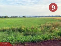 ขายที่ดินเปล่า เนือที่ 6 ไร่ ปากพลี นครนายก