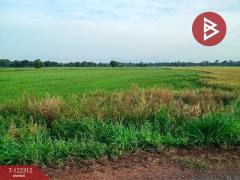 ขายที่ดินเปล่า เนือที่ 6 ไร่ ปากพลี นครนายก-202509191028461758252526980.jpg