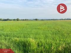 ขายที่ดินเปล่า เนือที่ 6 ไร่ ปากพลี นครนายก-202509191028471758252527514.jpg