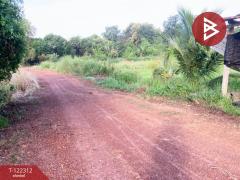 ขายที่ดินเปล่า เนือที่ 6 ไร่ ปากพลี นครนายก-202509191028481758252528551.jpg