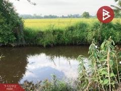 ขายที่ดินเปล่า เนือที่ 6 ไร่ ปากพลี นครนายก-202509191028491758252529073.jpg