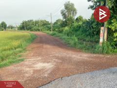 ขายที่ดินเปล่า เนือที่ 6 ไร่ ปากพลี นครนายก-202509191028501758252530123.jpg