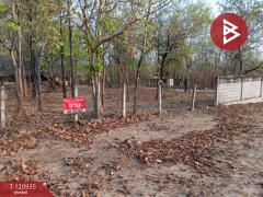 ขายที่ดิน เนื้อที่ 51 ไร่ 1 งาน 33 ตารางวา ไม้งาม ตาก