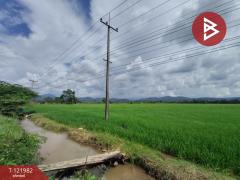 ขายที่ดิน เนื้อที่ 5 ไร่ 1 งาน 2 ตร.วา ทองแสนขัน อุตรดิตถ์-202509191300201758261620157.jpg