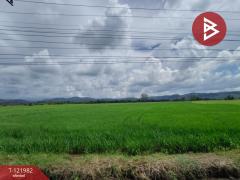 ขายที่ดิน เนื้อที่ 5 ไร่ 1 งาน 2 ตร.วา ทองแสนขัน อุตรดิตถ์-202509191300201758261620673.jpg