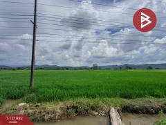 ขายที่ดิน เนื้อที่ 5 ไร่ 1 งาน 2 ตร.วา ทองแสนขัน อุตรดิตถ์-202509191300211758261621188.jpg