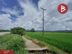 ขายที่ดิน เนื้อที่ 5 ไร่ 1 งาน 2 ตร.วา ทองแสนขัน อุตรดิตถ์-202509191300211758261621707.jpg