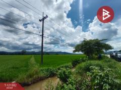 ขายที่ดิน เนื้อที่ 5 ไร่ 1 งาน 2 ตร.วา ทองแสนขัน อุตรดิตถ์-202509191300231758261623270.jpg