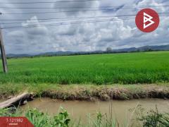 ขายที่ดิน เนื้อที่ 5 ไร่ 1 งาน 2 ตร.วา ทองแสนขัน อุตรดิตถ์-202509191300231758261623802.jpg