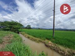 ขายที่ดิน เนื้อที่ 5 ไร่ 1 งาน 2 ตร.วา ทองแสนขัน อุตรดิตถ์-202509191300241758261624854.jpg